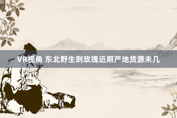 VR视角 东北野生刺玫瑰近期产地货源未几