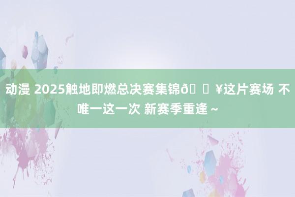 动漫 2025触地即燃总决赛集锦🎥这片赛场 不唯一这一次 新赛季重逢～