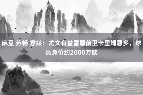 麻豆 苏畅 意媒：尤文有益雷恩前卫卡里姆恩多，球员身价约2000万欧