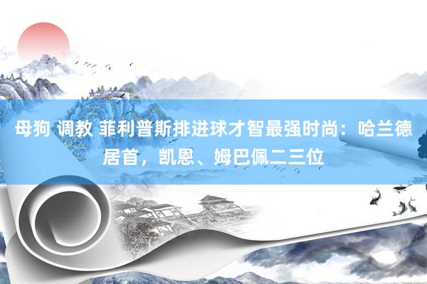 母狗 调教 菲利普斯排进球才智最强时尚：哈兰德居首，凯恩、姆巴佩二三位